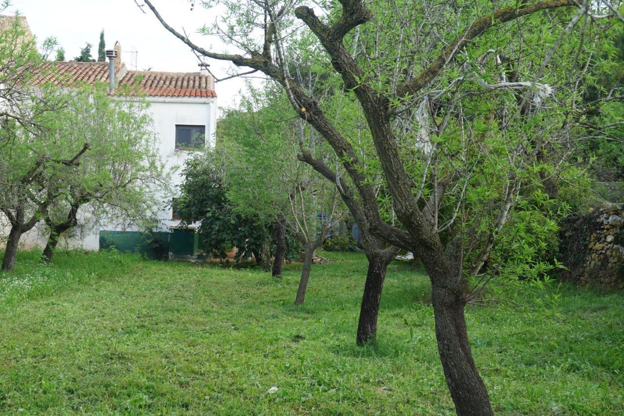 Casa El Regall Cálig Exteriér fotografie