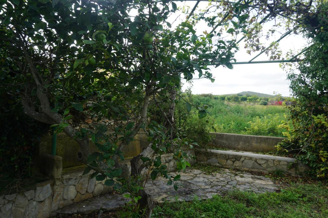 Casa El Regall Cálig Exteriér fotografie